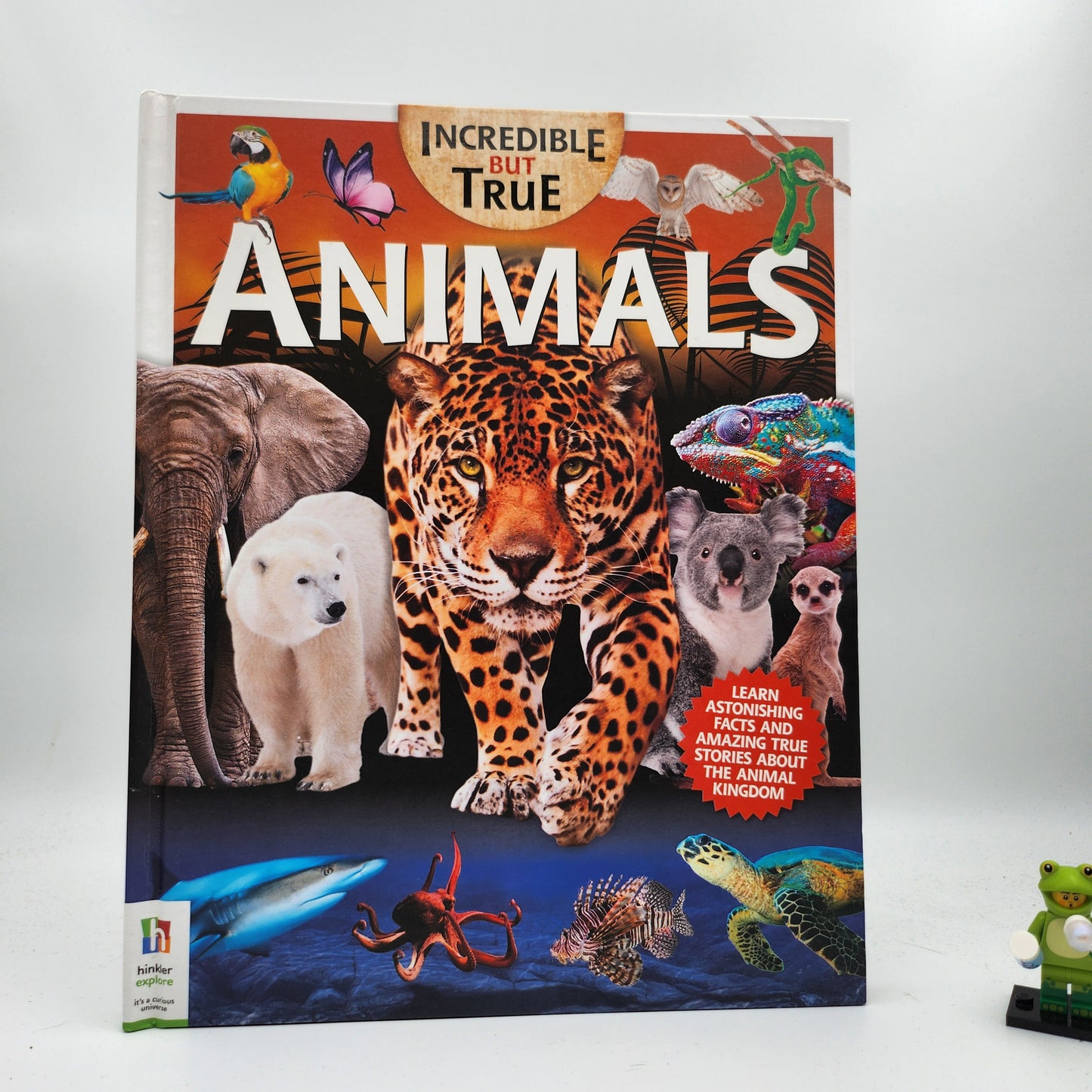 Incredible But True: Animals