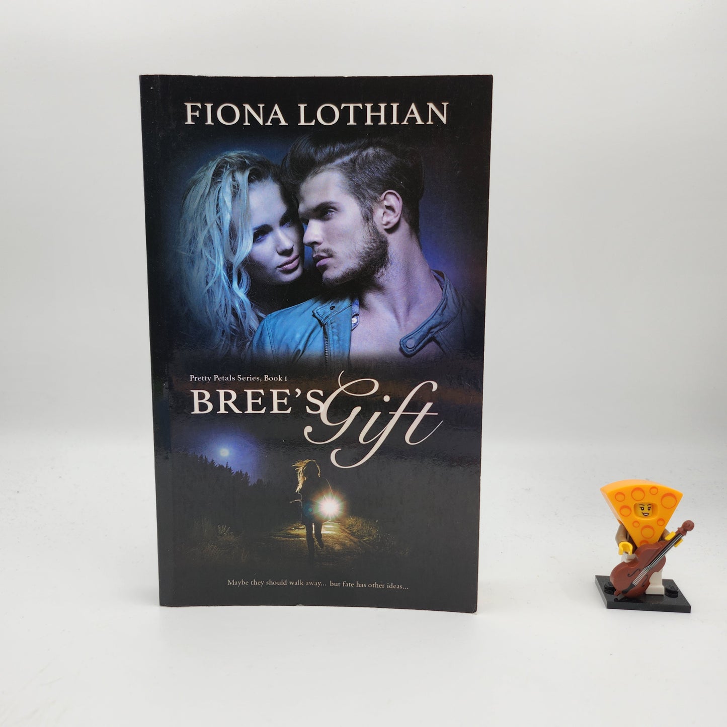 Bree's Gift (Pretty Petals #1) - Fiona Lothian
