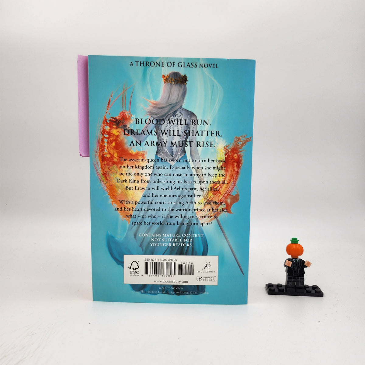 Empire of Storms (Throne of Glass #5)