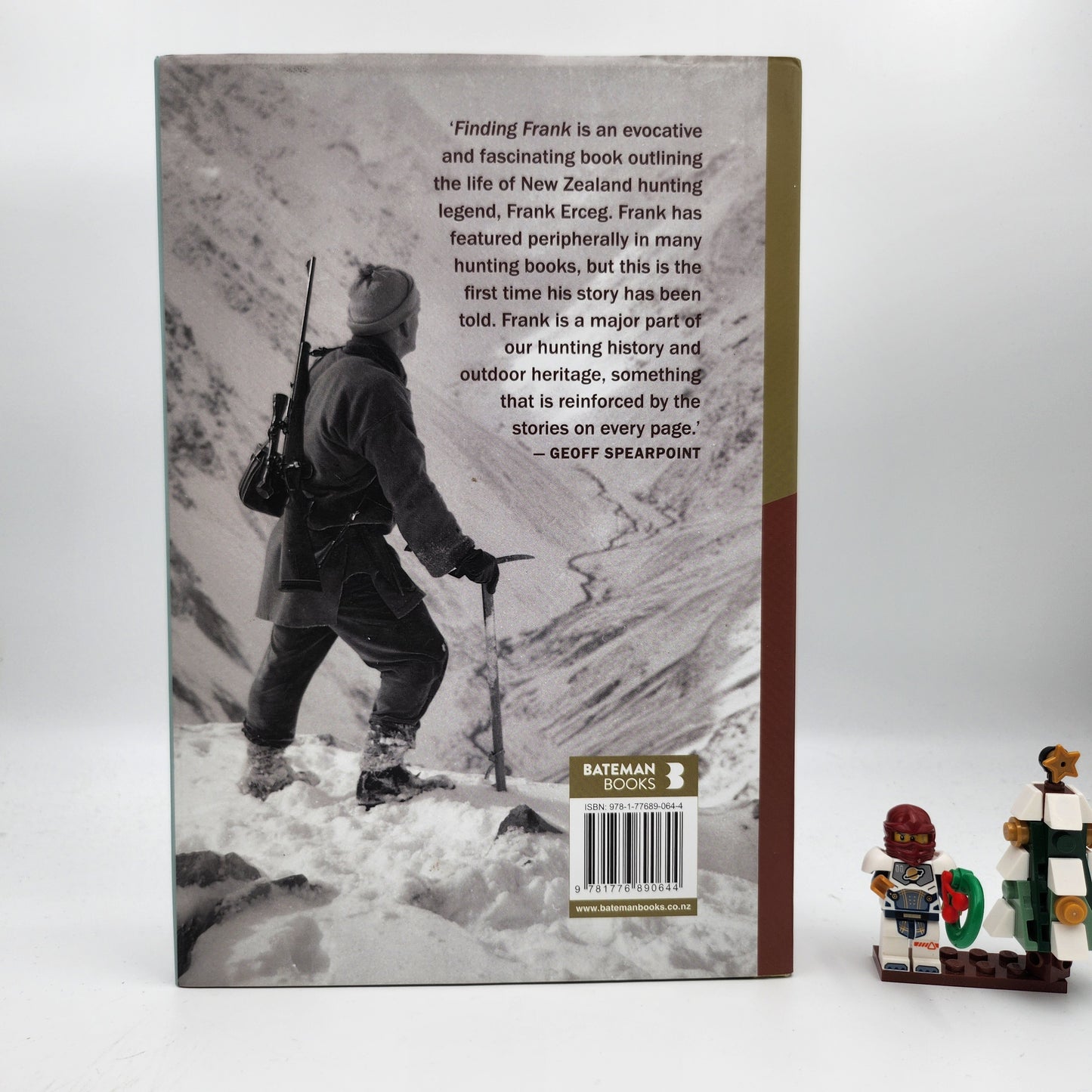 Finding Frank - Louise Maich