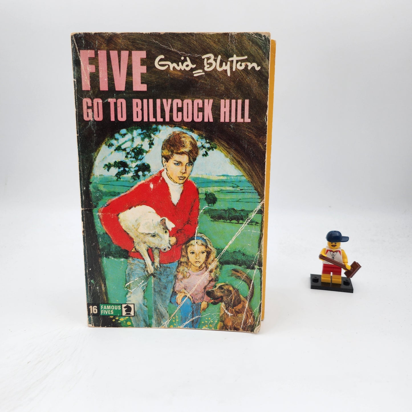 Five Go to Billycock Hill (Famous Five #16)