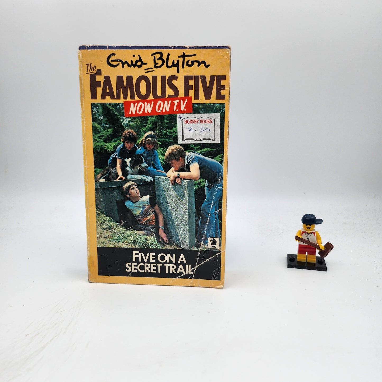 Five on a Secret Trail (Famous Five #15)