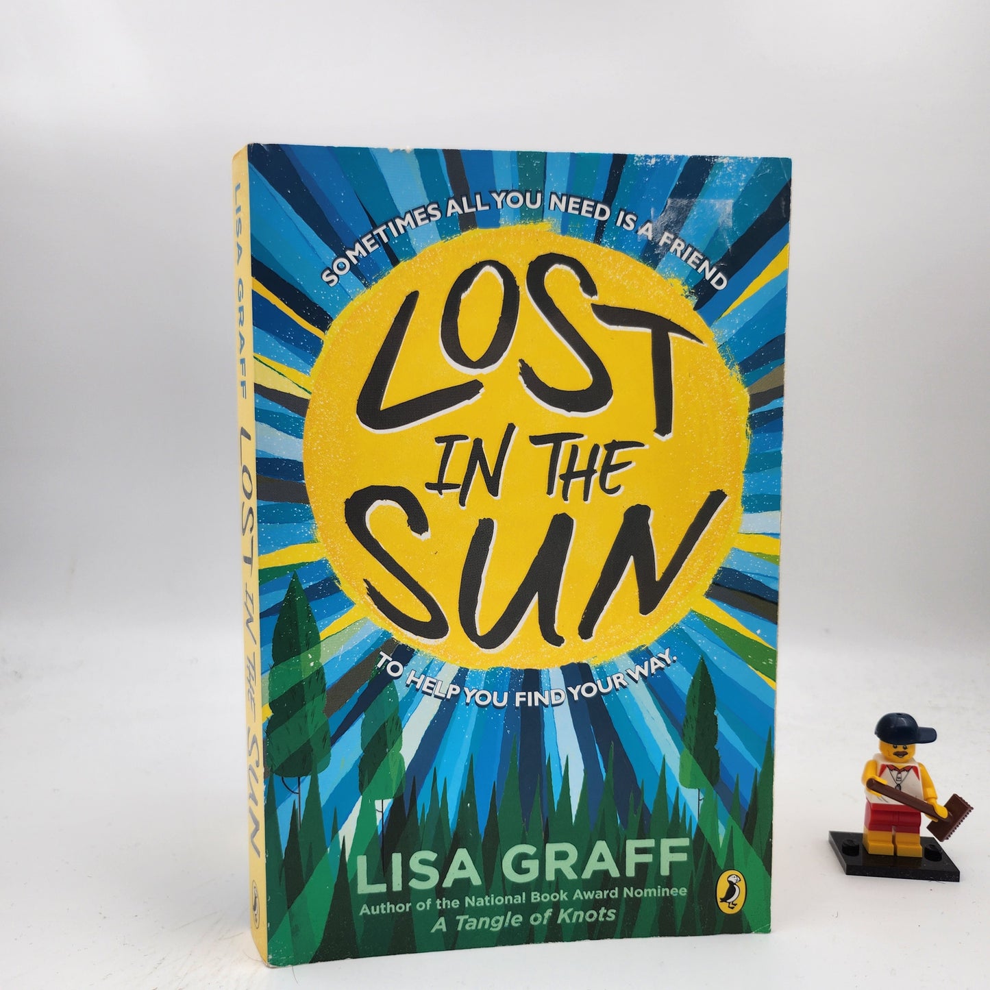 Lost in the Sun
