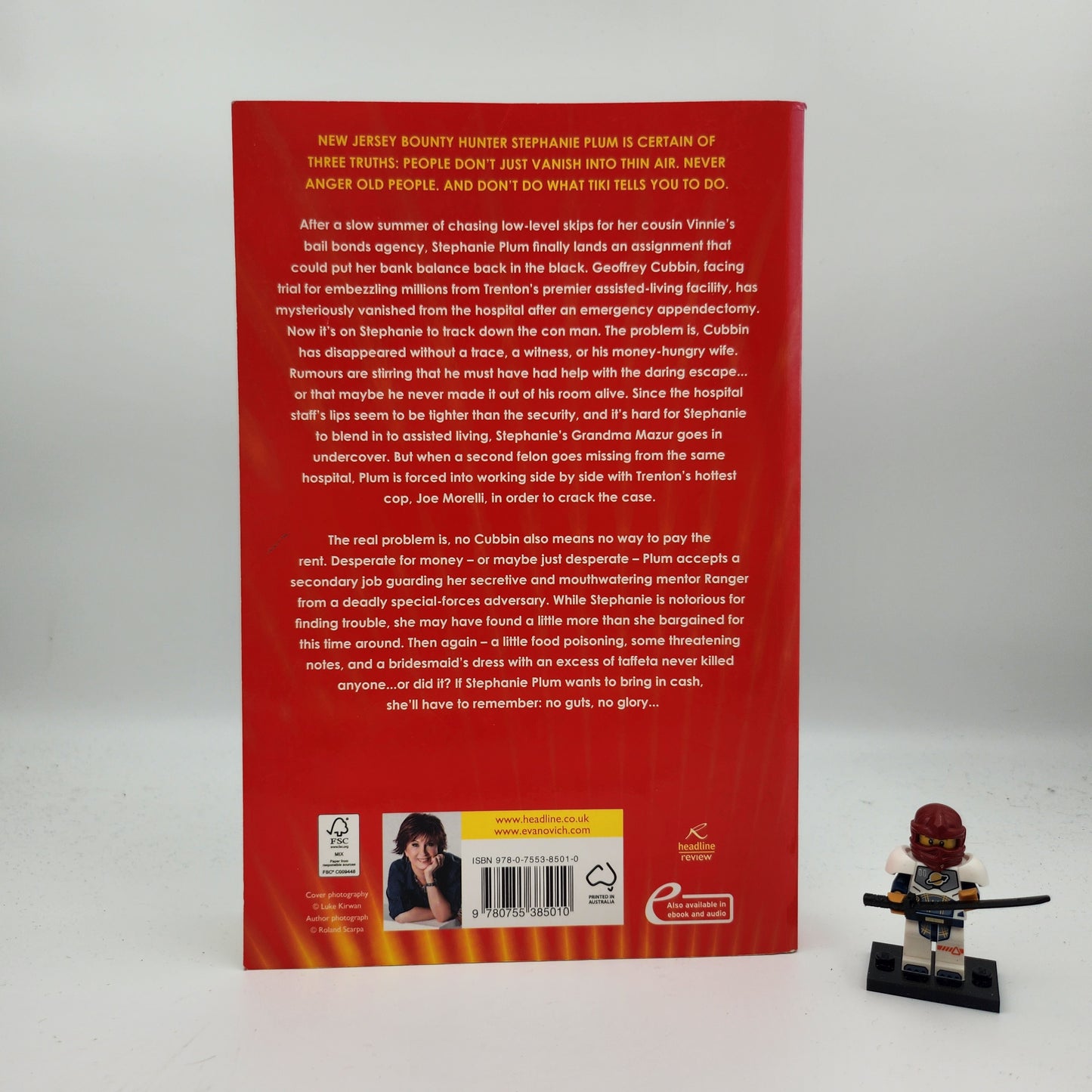 Notorious Nineteen (Stephanie Plum #19) - Janet Evanovich