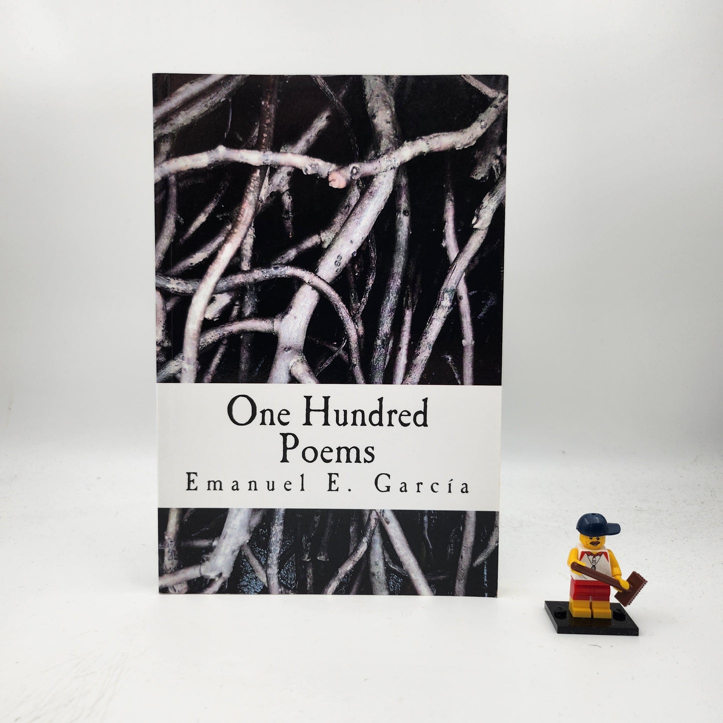 One Hundred Poems