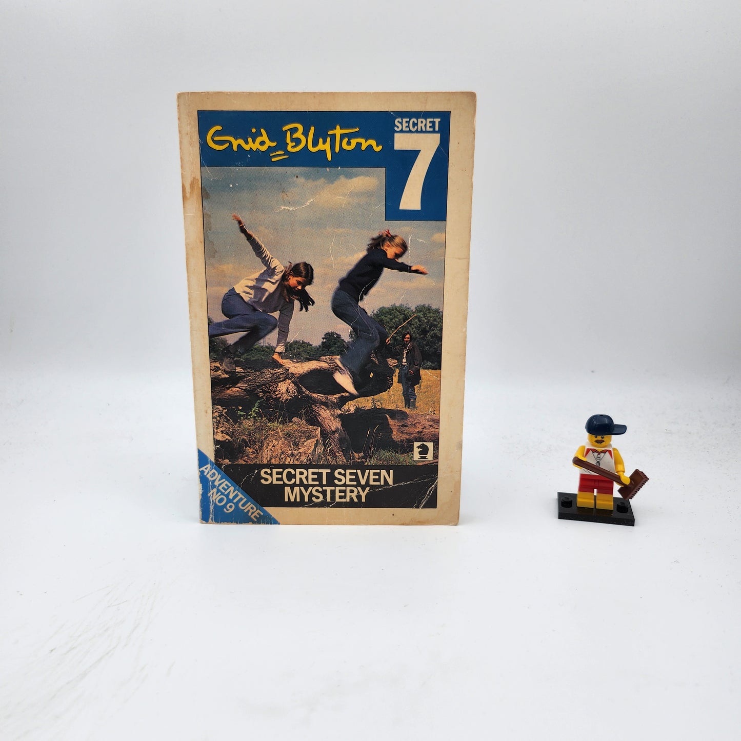Secret Seven Mystery (The Secret Seven #9)