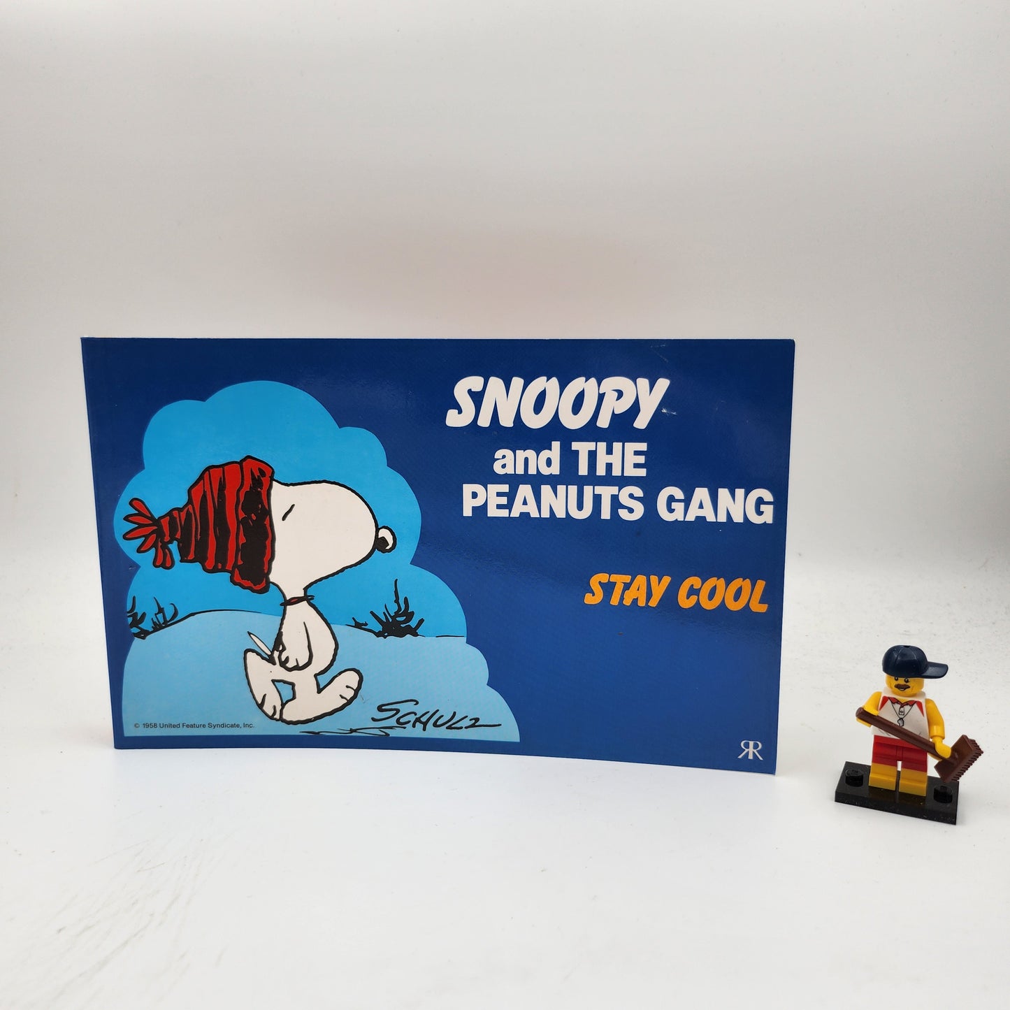Snoopy and the Peanuts Gang: Stay Cool