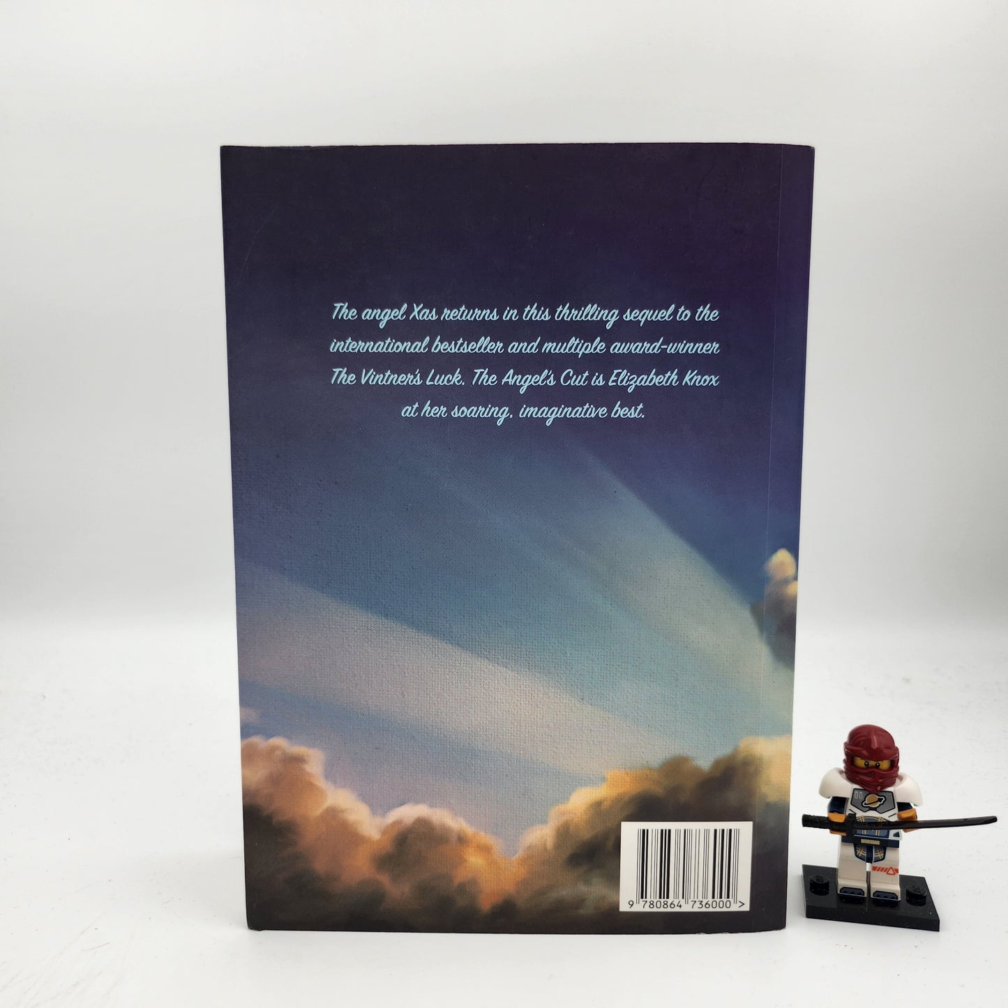 The Angel's Cut (Vintner's Luck #2) - Elizabeth Knox