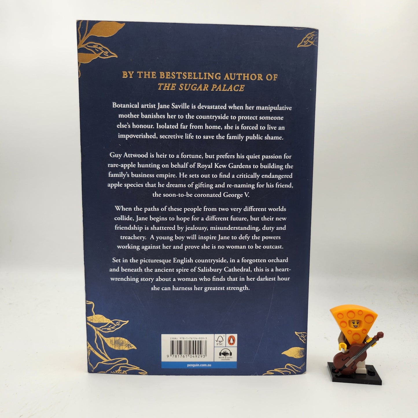 The Fallen Woman - Fiona McIntosh