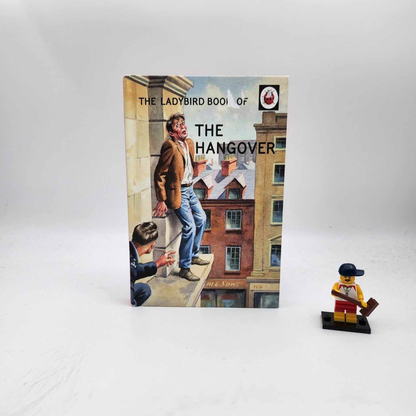 The Ladybird Book of The Hangover