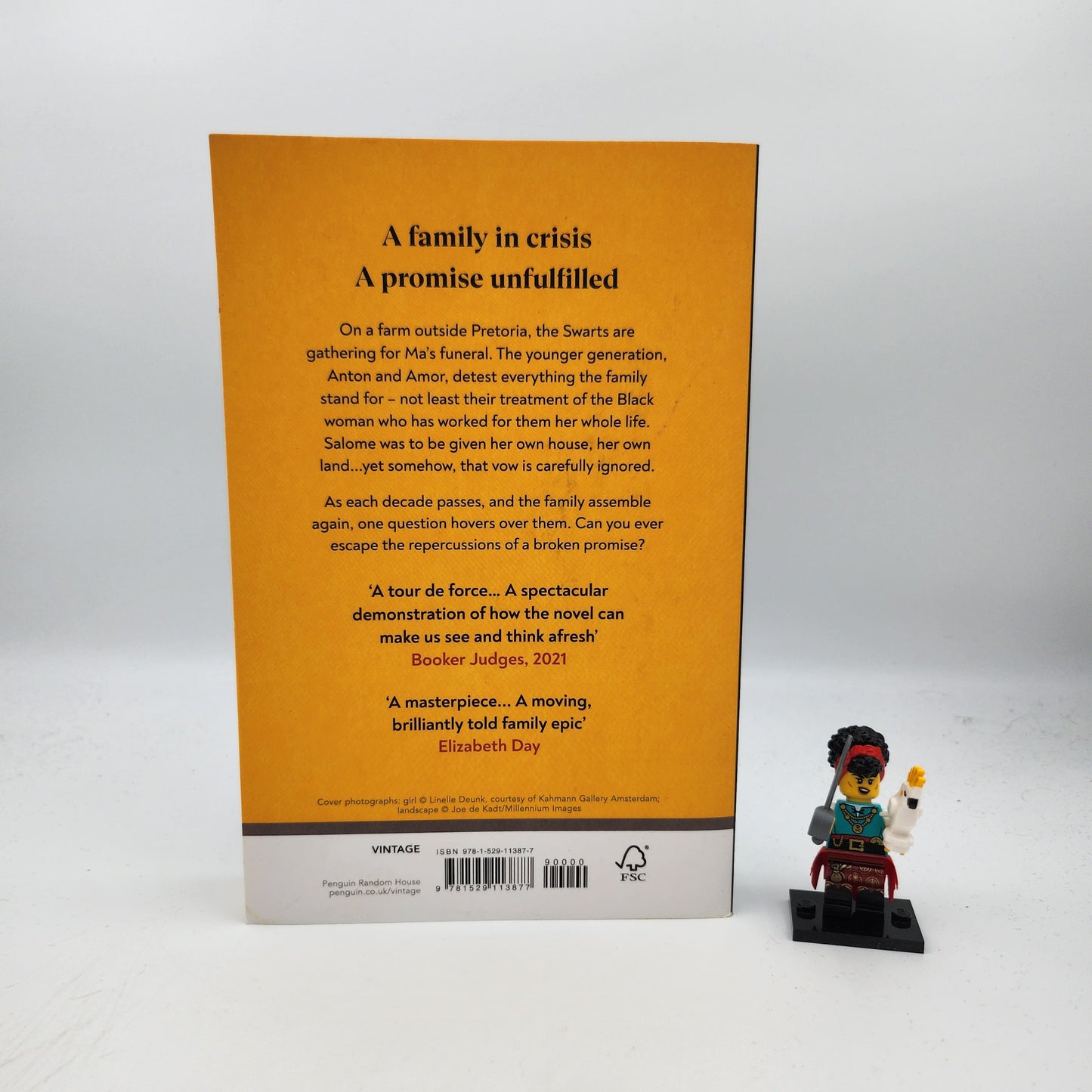 The Promise - Damon Galgut