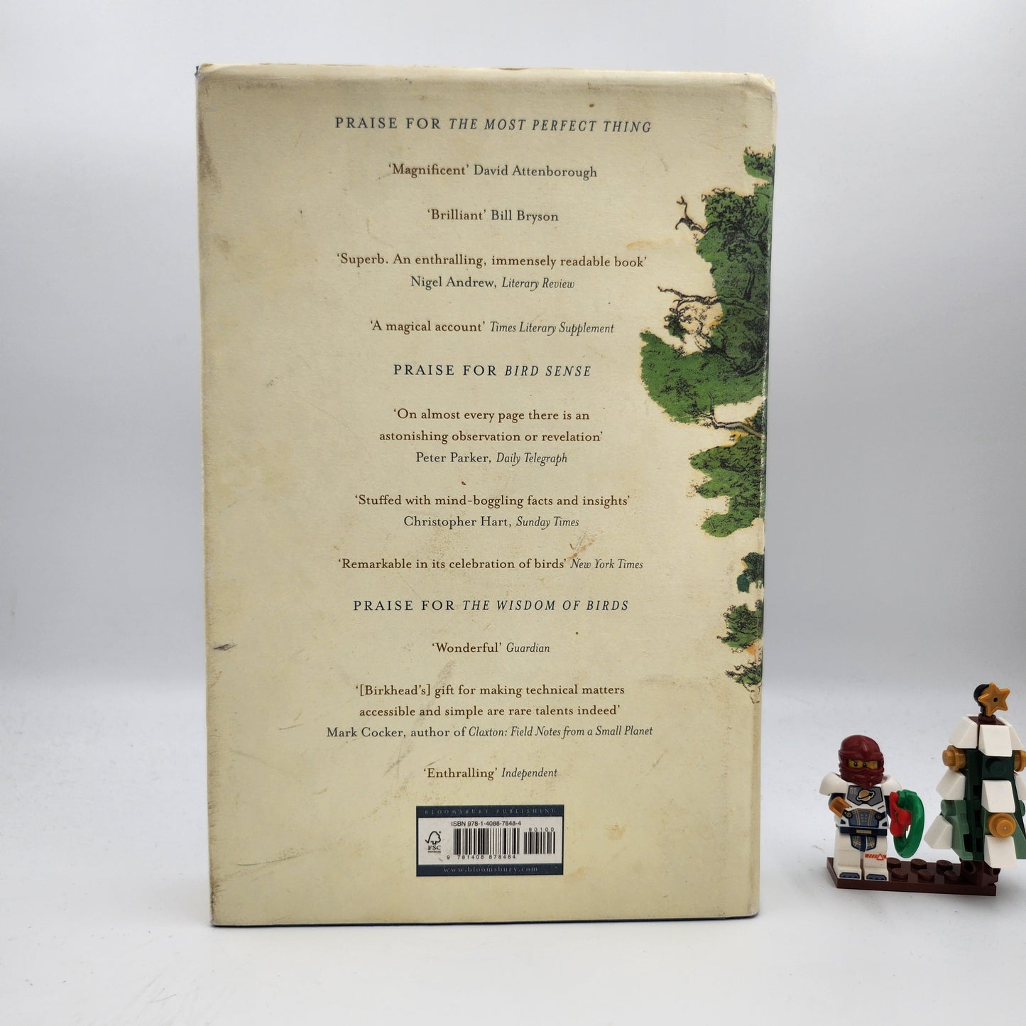 The Wonderful Mr Willughby: The First True Ornithologist - Tim Birkhead