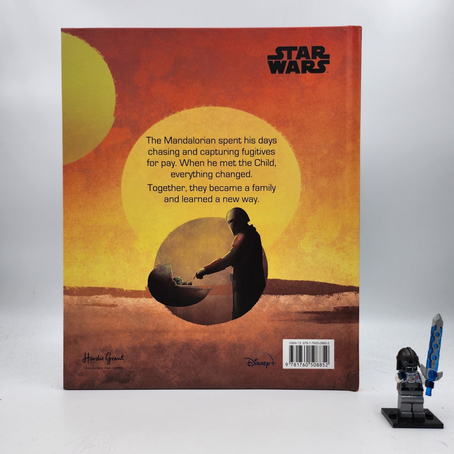 Star Wars: (The Mandalorian) This is the Way