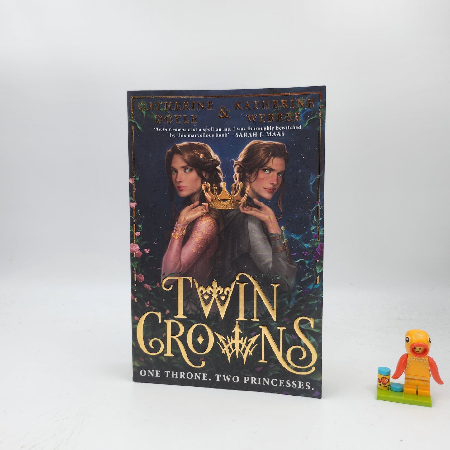 Twin Crowns (Twin Crowns #1)