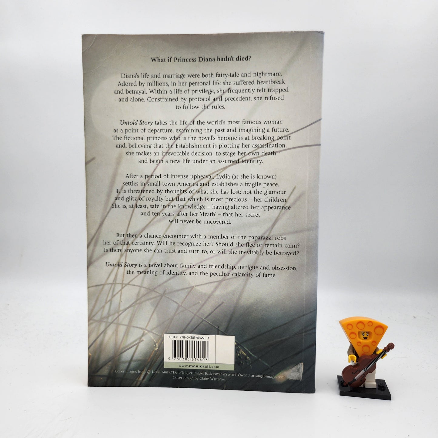 Untold Story - Monica Ali