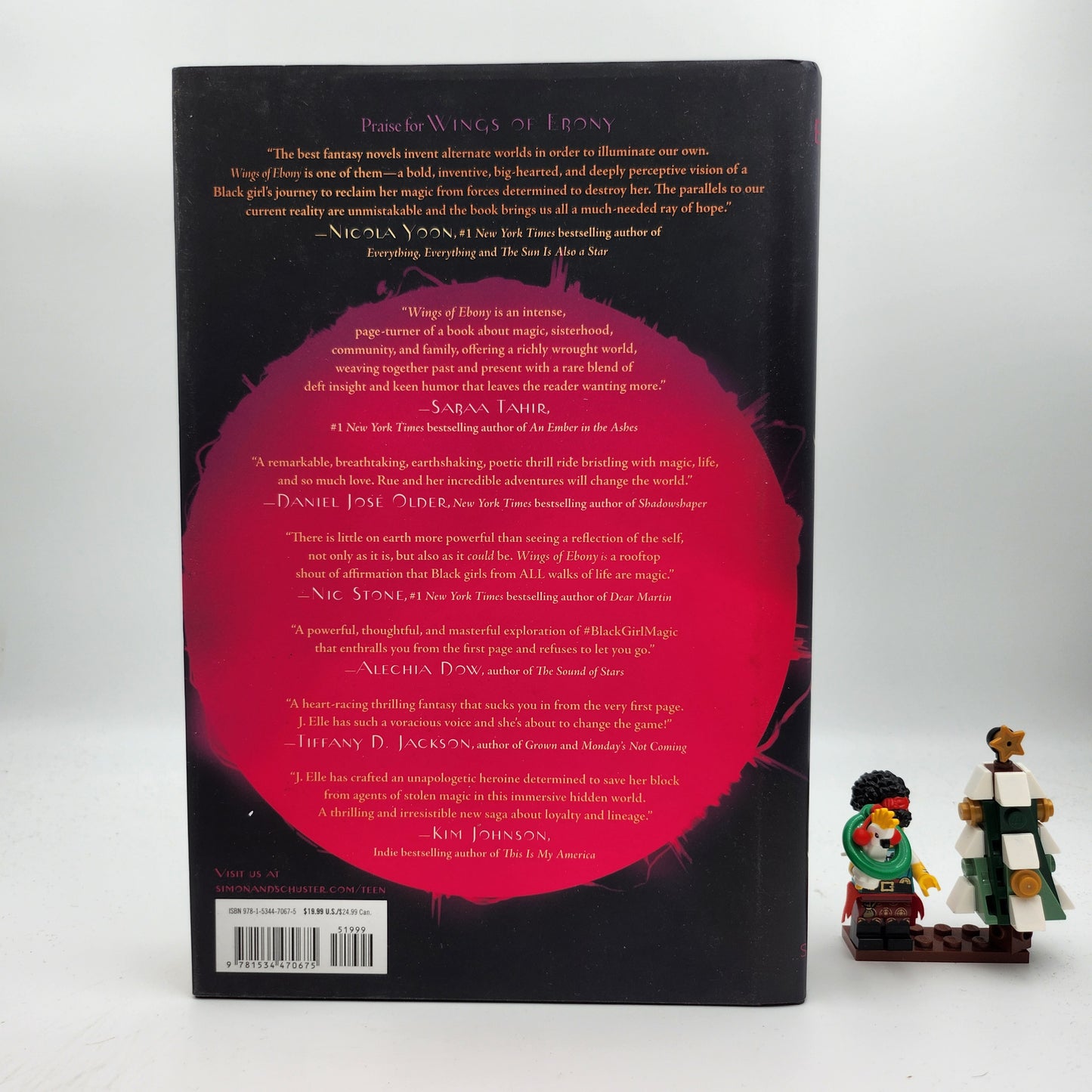 Wings of Ebony (Wings of Ebony #1) - J. Elle