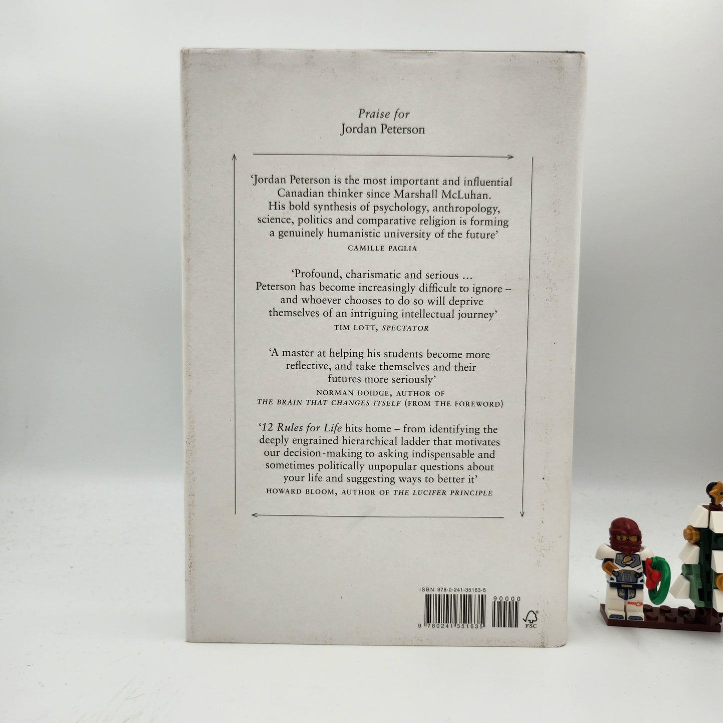 12 Rules for Life: An Antidote to Chaos - Jordan B. Peterson