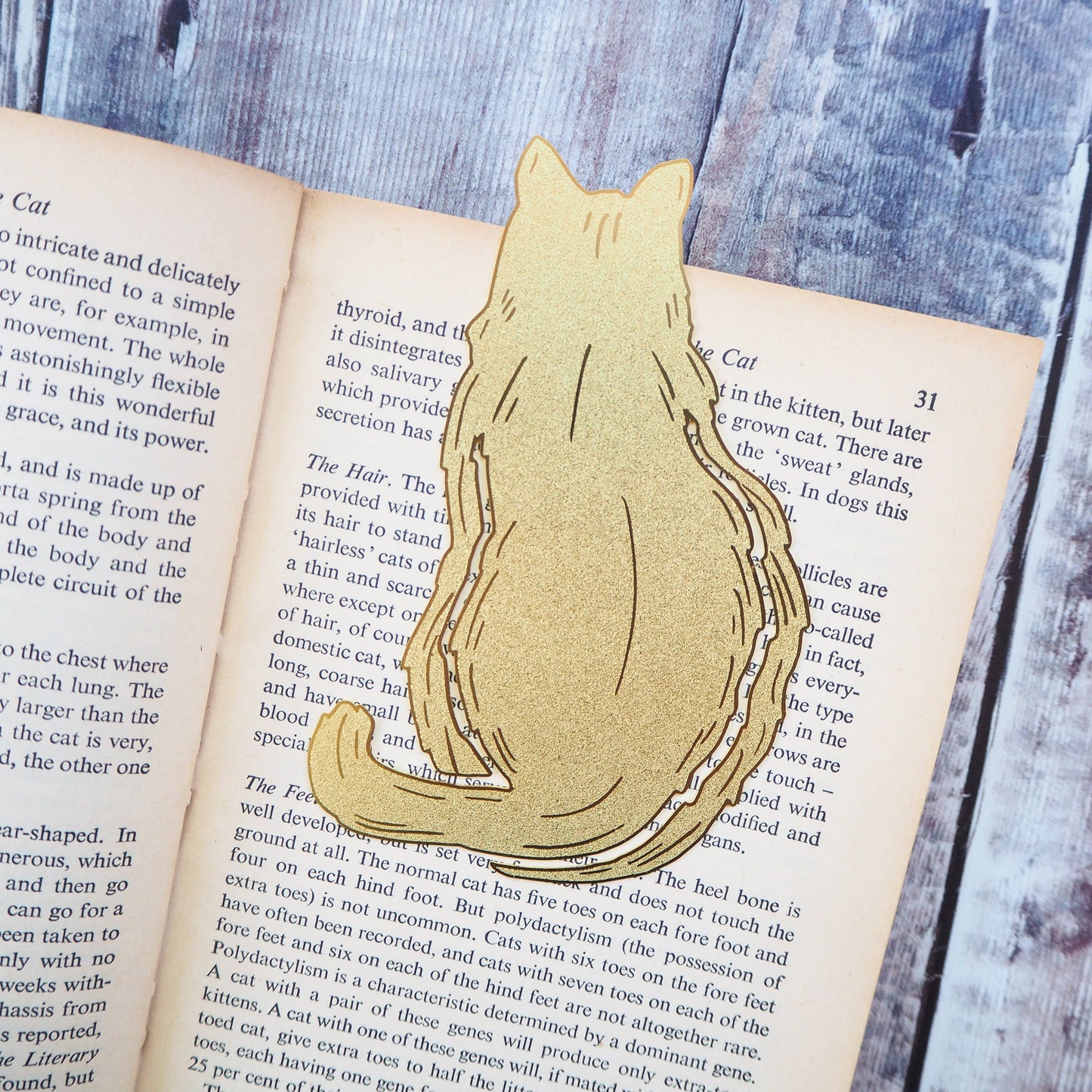 Cat Lover Brass Bookmark