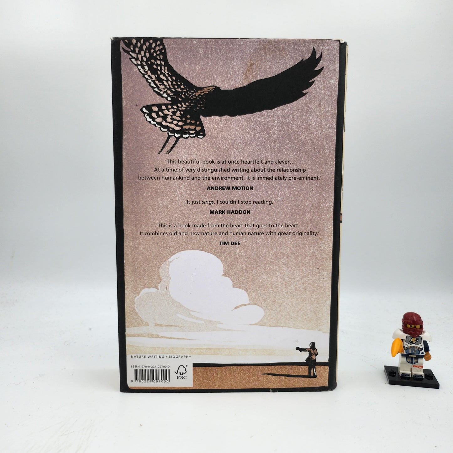 H is for Hawk