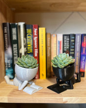 Load image into Gallery viewer, Bookish Planter Three Pack
