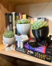 Load image into Gallery viewer, Bookish Planter Three Pack
