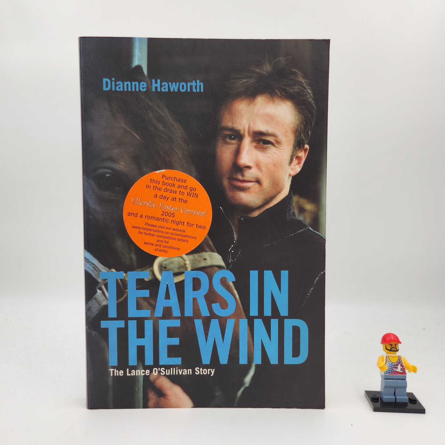Tears in the Wind - Dianne Haworth