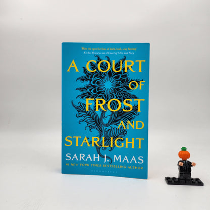 A Court of Frost and Starlight (A Court of Thorns and Roses #4)