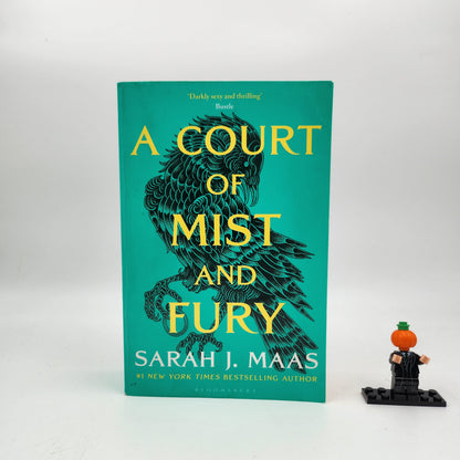 A Court of Mist and Fury (A Court of Thorns and Roses #2)