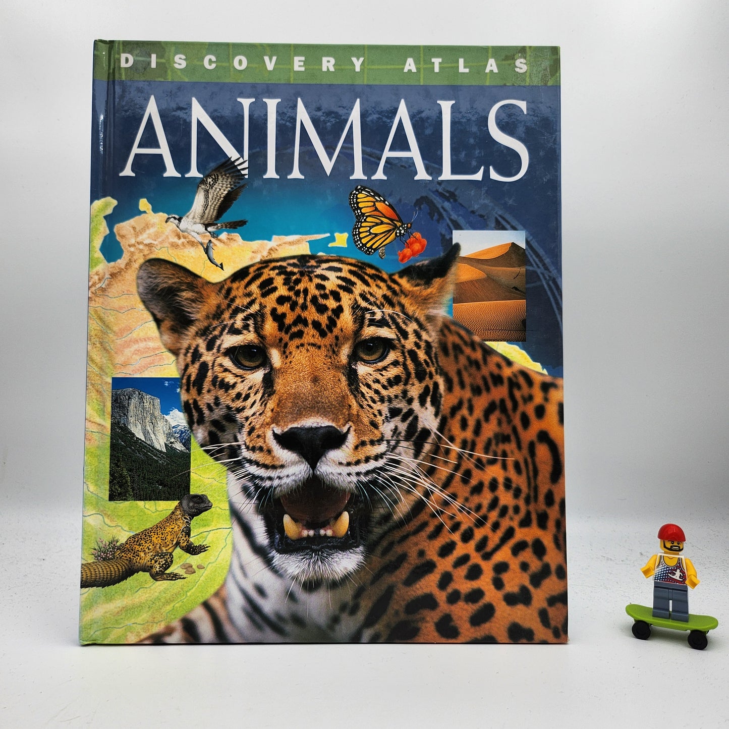 Animals (Discovery Atlas) - DK