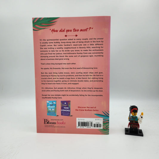 A Not So Meet Cute (Cane Brothers #1)