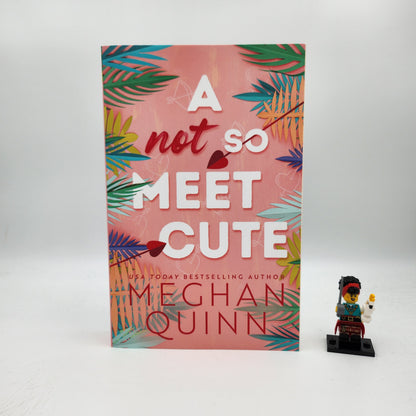 A Not So Meet Cute (Cane Brothers #1)