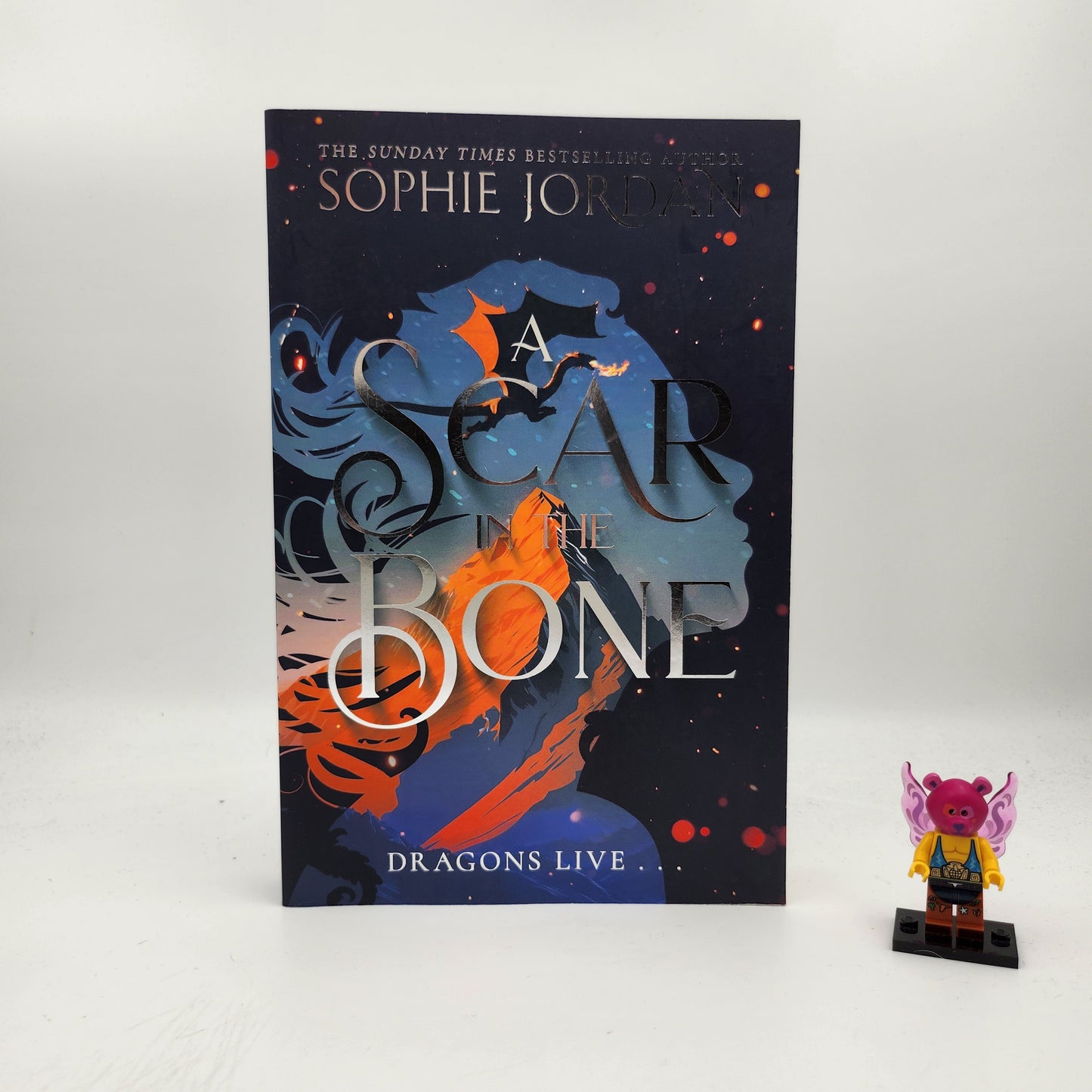 A Scar in the Bone (A Fire in the Sky #2)