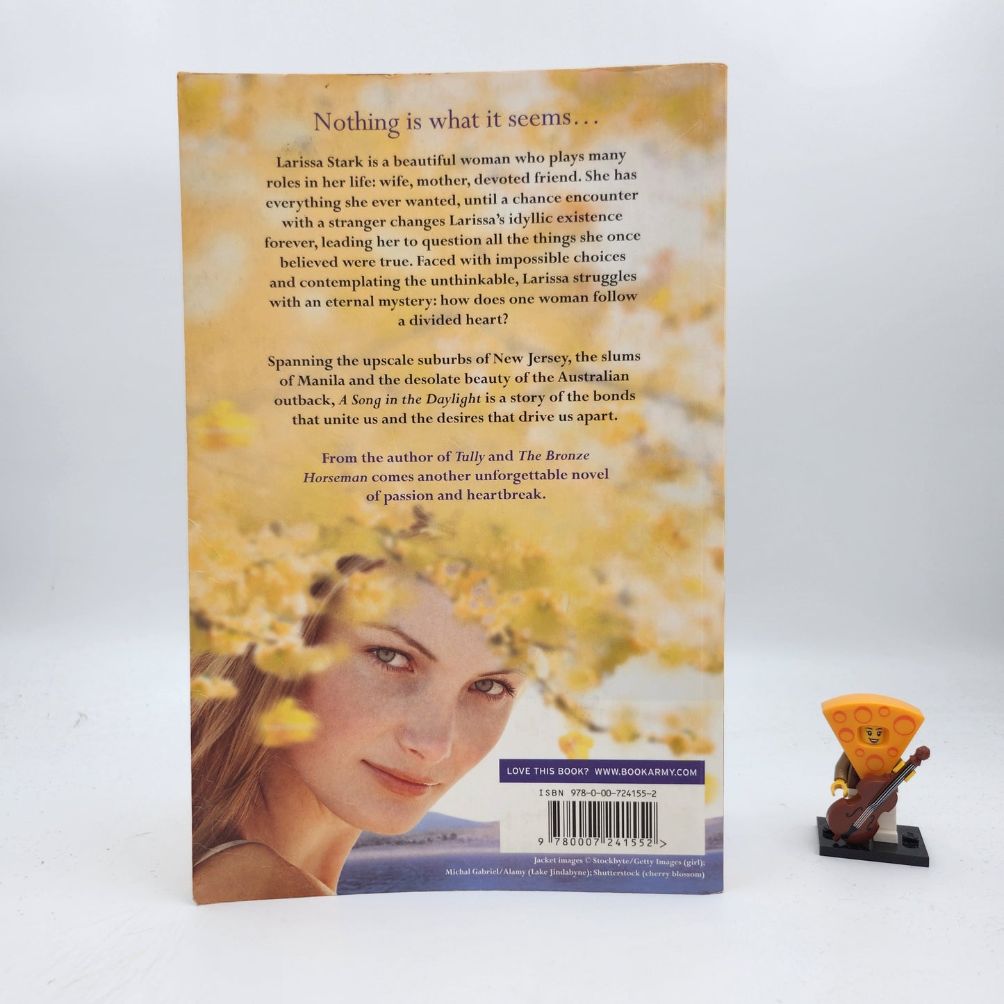 A Song in the Daylight