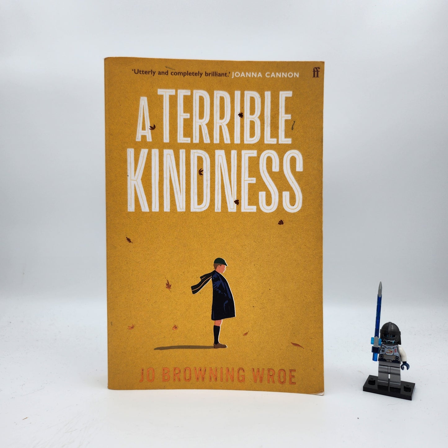 A Terrible Kindness - Jo Browning Wroe
