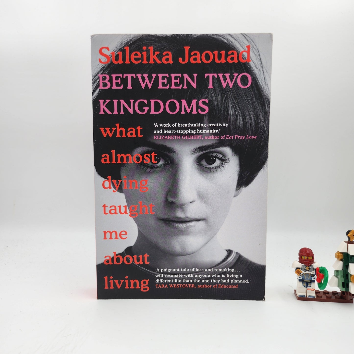 Between Two Kingdoms: What almost dying taught me about living - Suleika Jaouad
