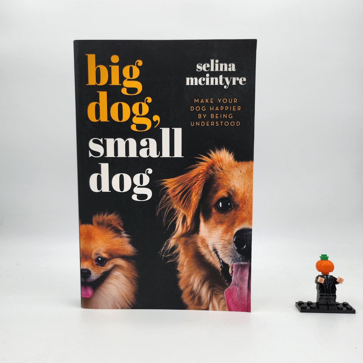Big Dog, Small Dog