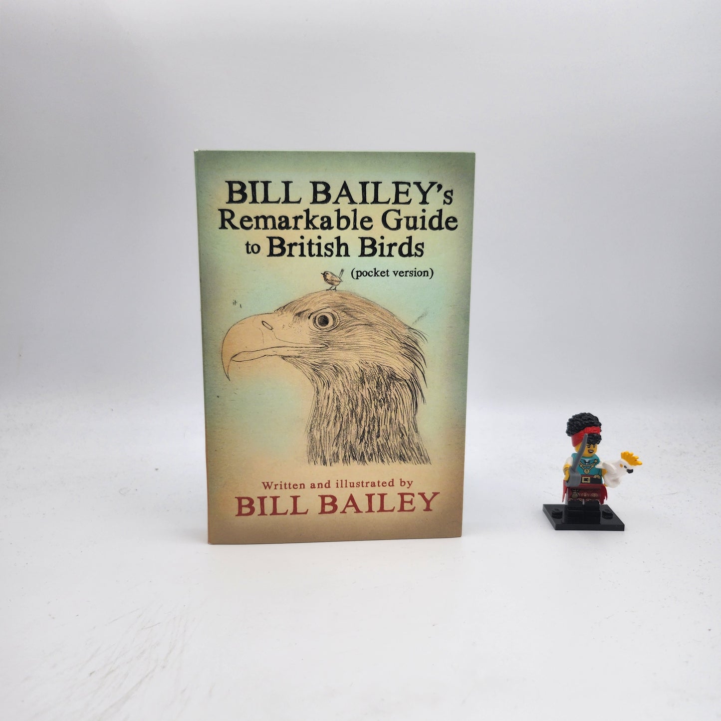 Bill Bailey's Remarkable Guide to British Birds