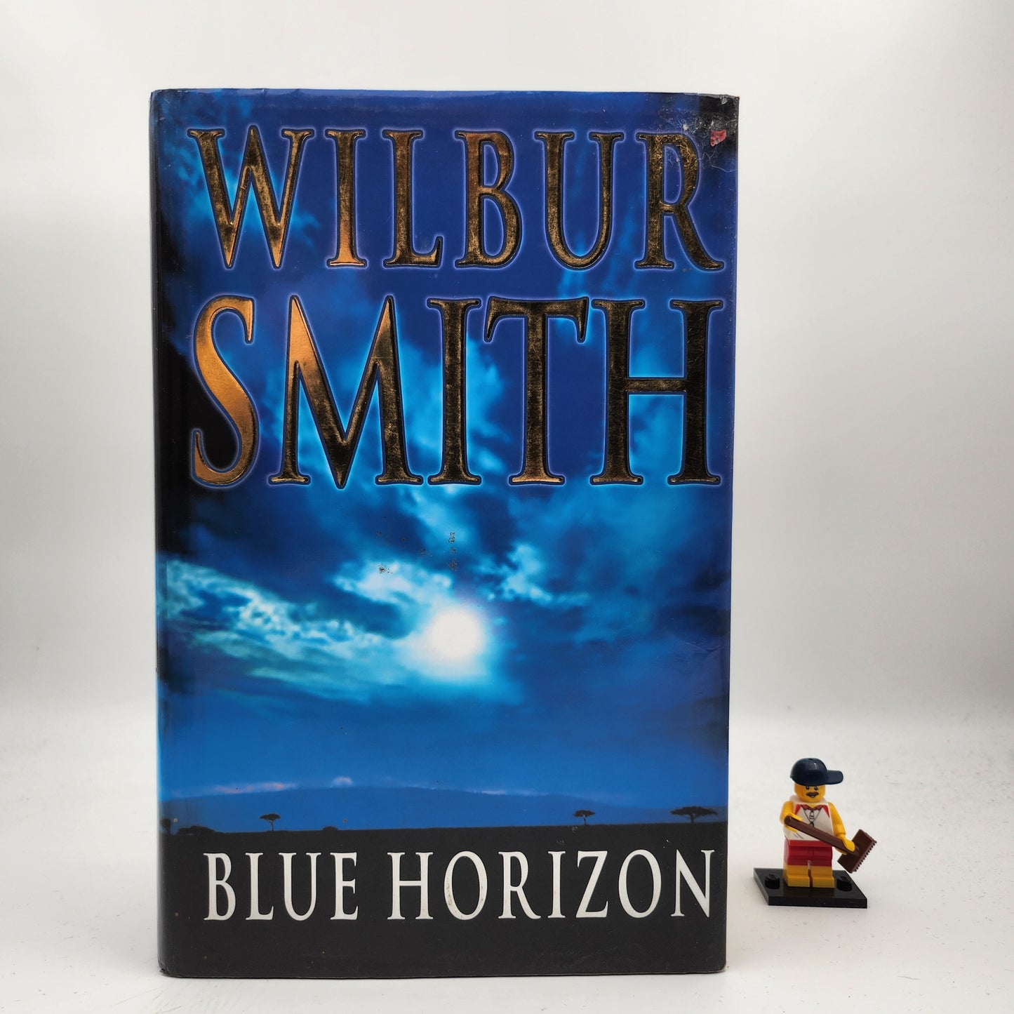 Blue Horizon (Courtney publication order #11) - Wilbur Smith