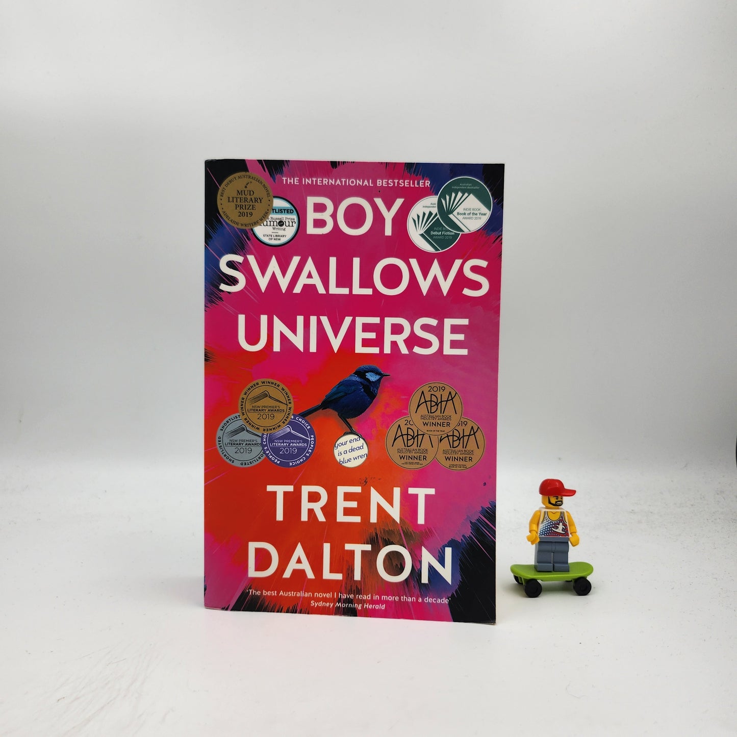 Boy Swallows Universe