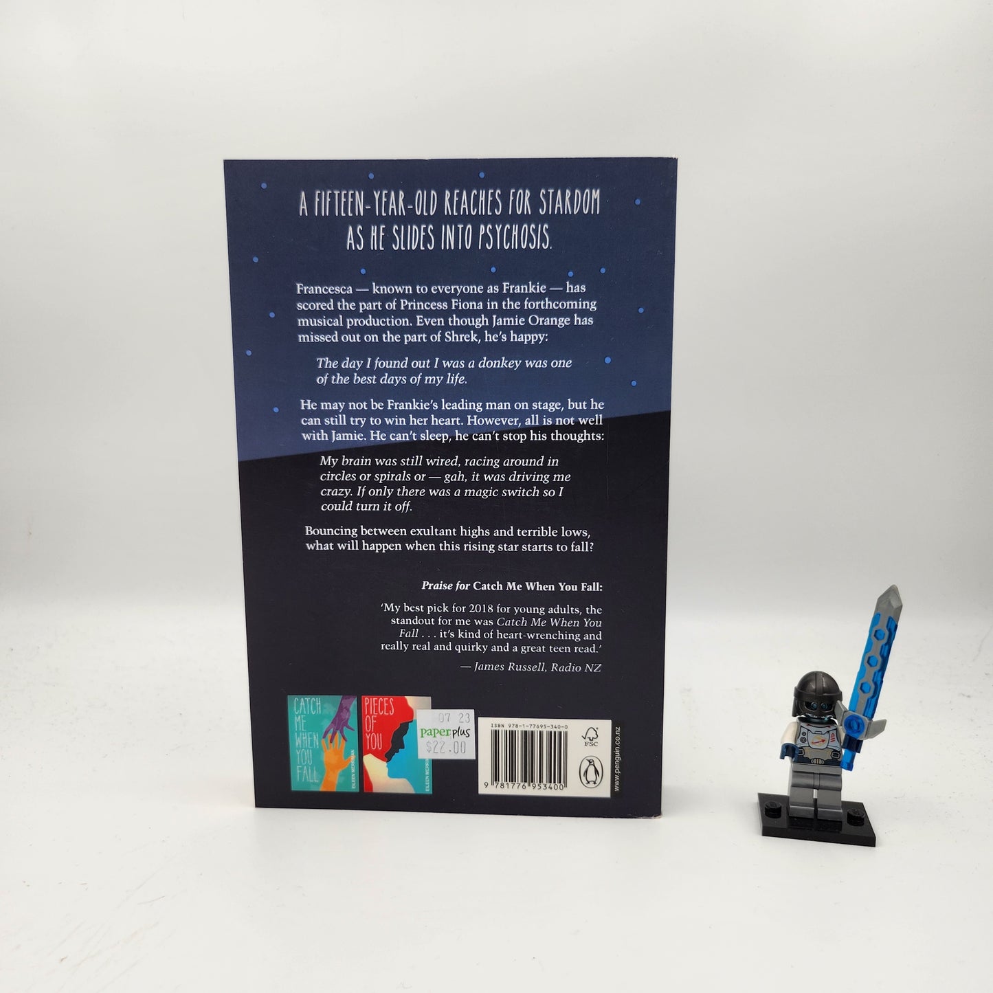 Catch a Falling Star - Eileen Merriman