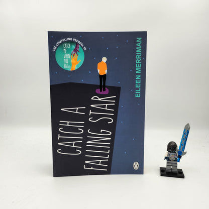 Catch a Falling Star - Eileen Merriman