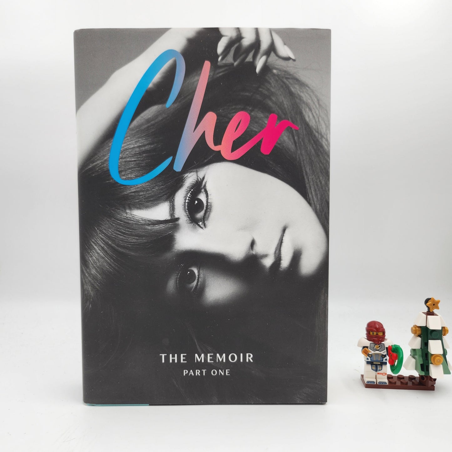 The Memoir, Part One - Cher