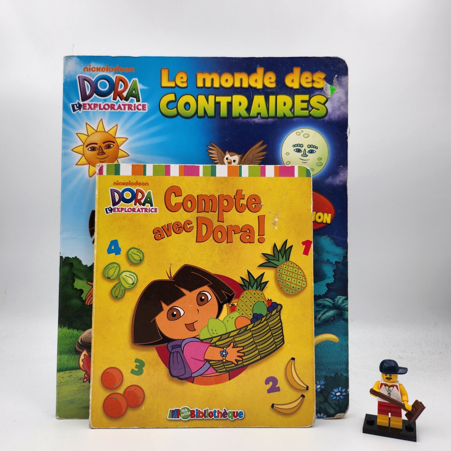 Dora l'exploratrice: Le monde des contraires (Dora the Explorer Book of Opposites + 1-10)