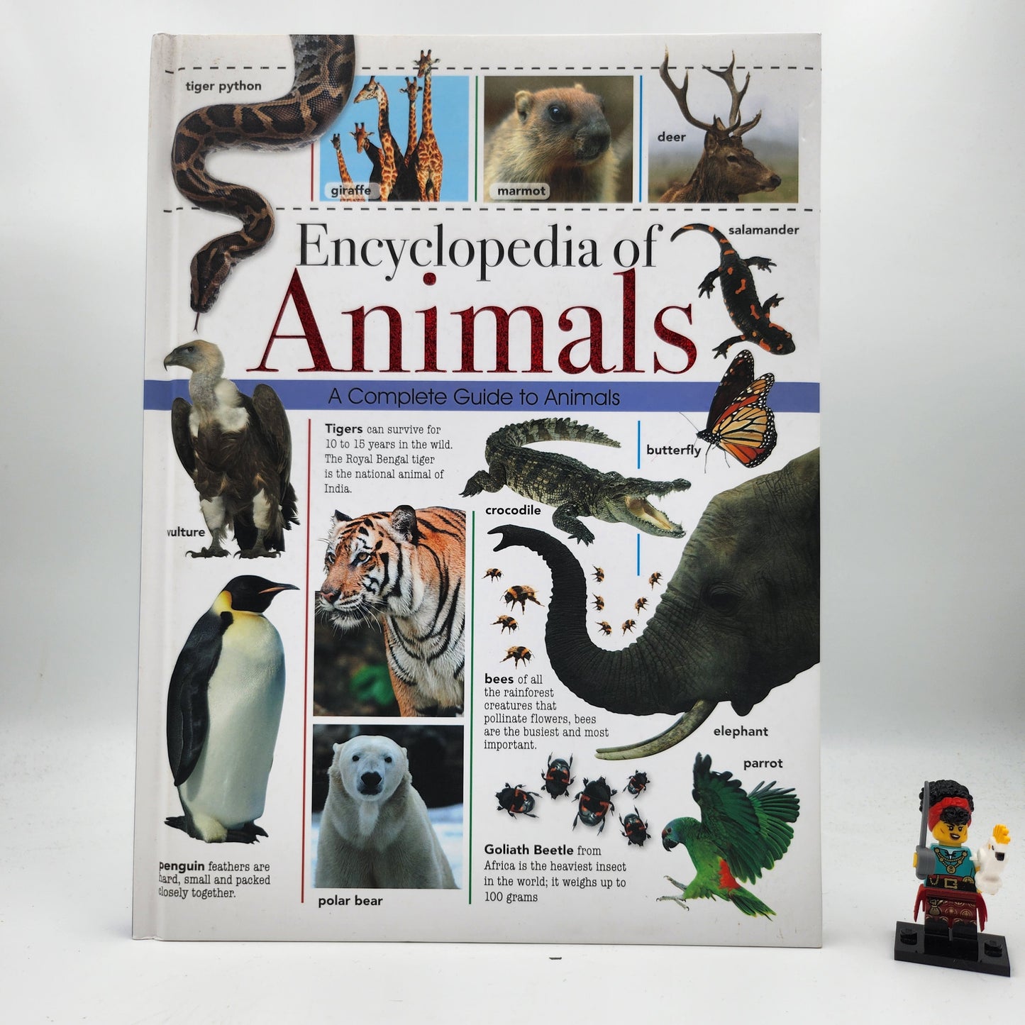 Encyclopedia of Animals