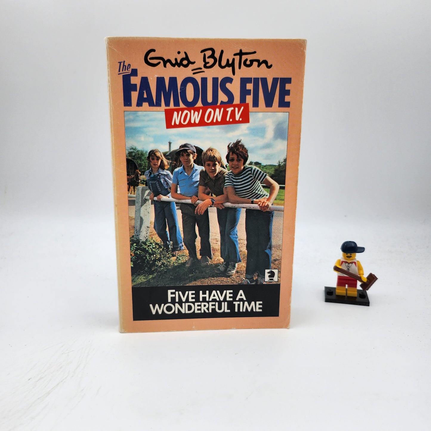 Five Have a Wonderful Time  (Famous Five #11)