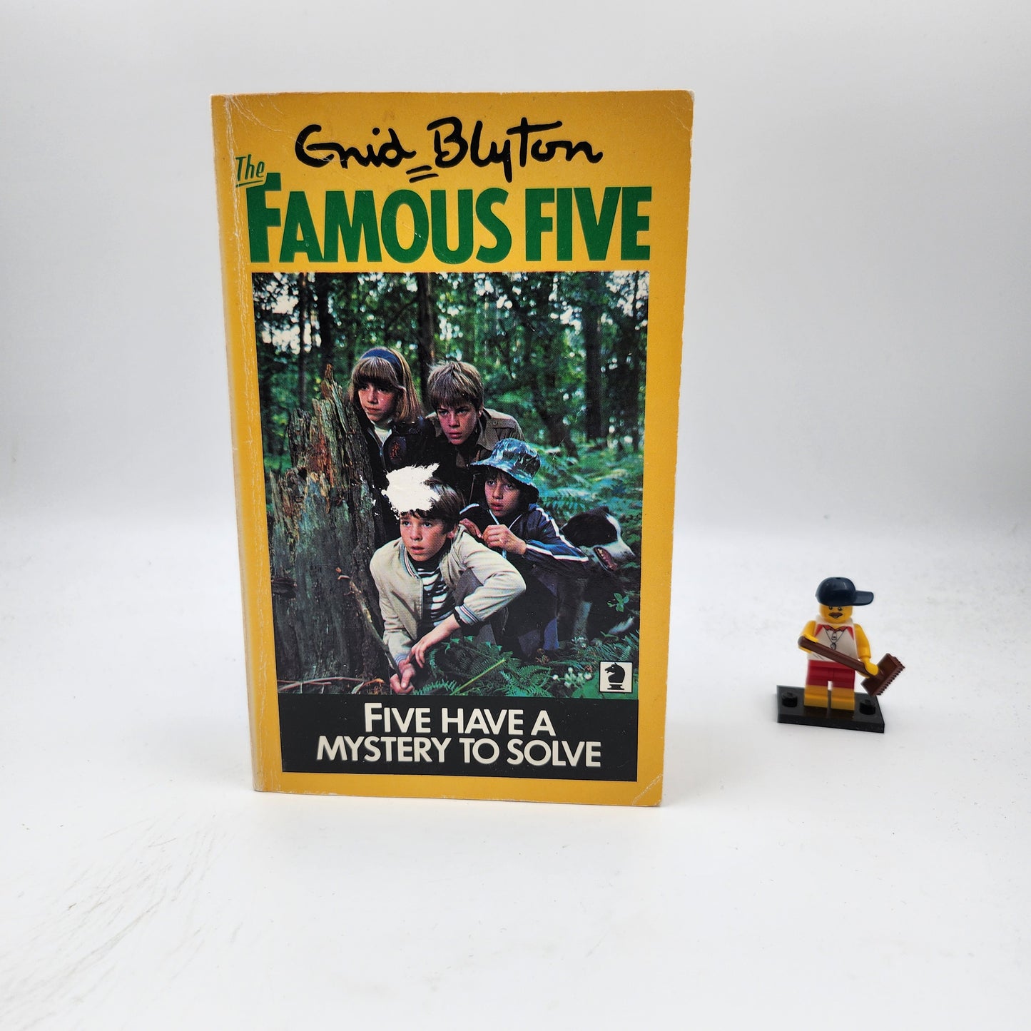 Five Have a Mystery to Solve (Famous Five #20)
