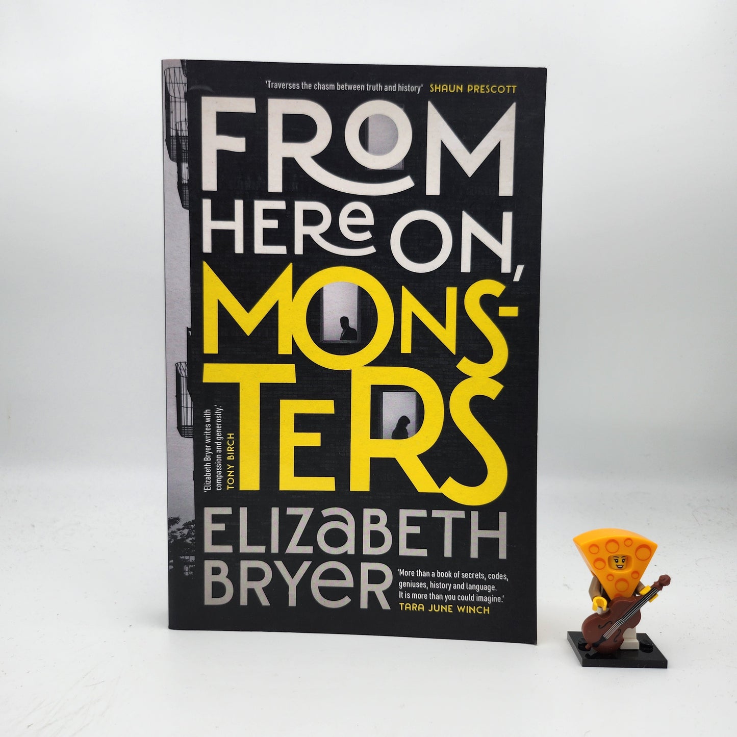 From Here on, Monsters - Elizabeth Bryer