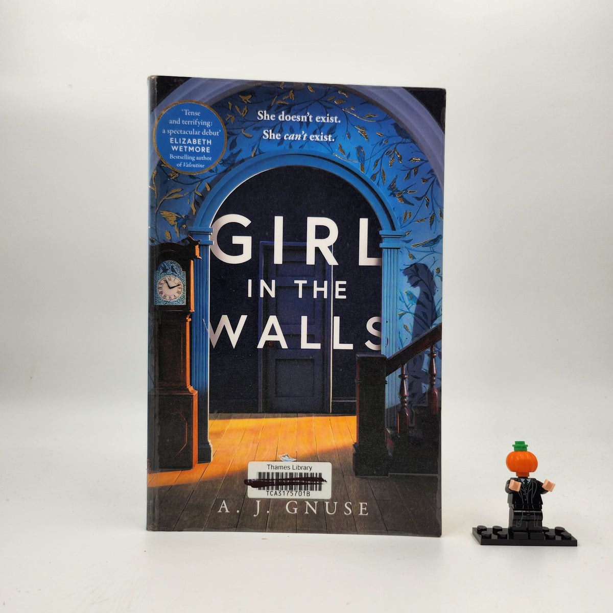 Girl in the Walls