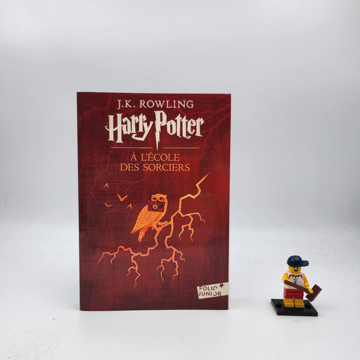 Harry Potter and the Philosopher's Stone (Harry Potter #1) - French Copy