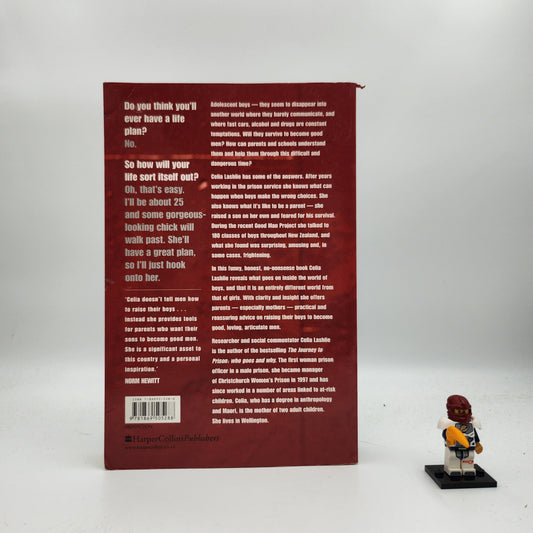 He'll Be Ok: Growing Gorgeous Boys Into Good Men